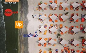 Summerland Vibe Mamaia
